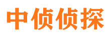 隆子外遇调查取证